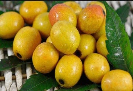  [南酸枣]农村快要“消失”的这四种野味，全吃过的人不多，你吃