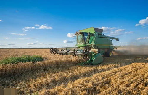  一批■不久后，农村下一批“富人”将出现，“这3类”人最有可能