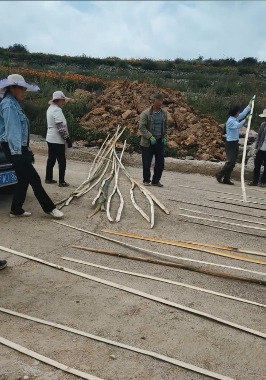  [村民]农村“村村通”水泥路，村民用竹子铺路基，网友称：难得