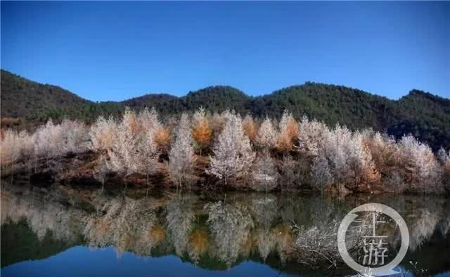 恭喜！重庆这个地方又被央视“点名”了