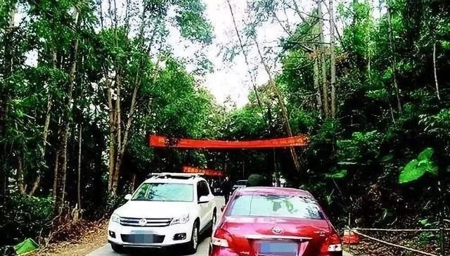  #车尾#老司机：超车看车头，会车看车尾，新手司机要记住