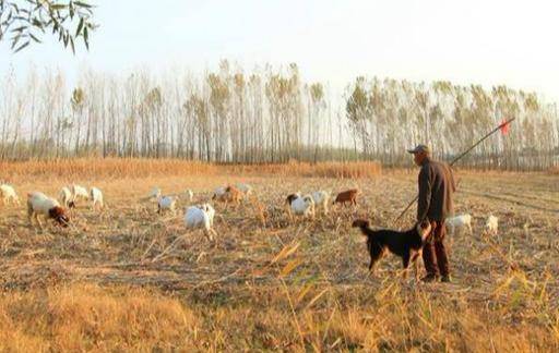 北方农村寒冷的冬天有这些 而南方人却很少见