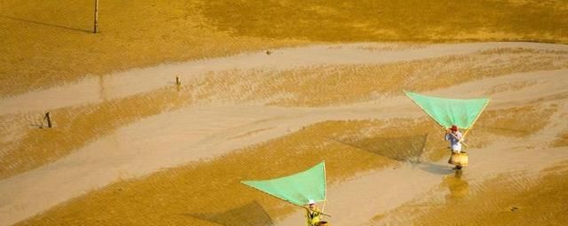 2020年旅行时间表来啦