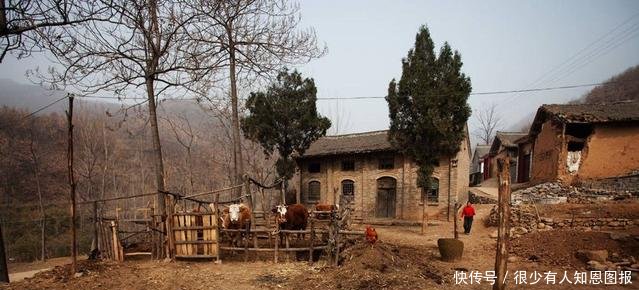 好消息！国家将统一规划农村建房，以后农民不用盖房了！