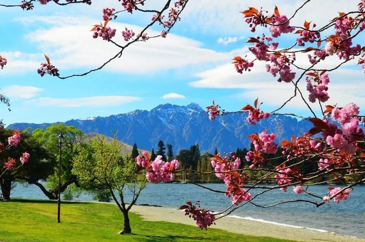 在秋冬交接的季节开启国外之旅:多种款式满足你的旅行目的!