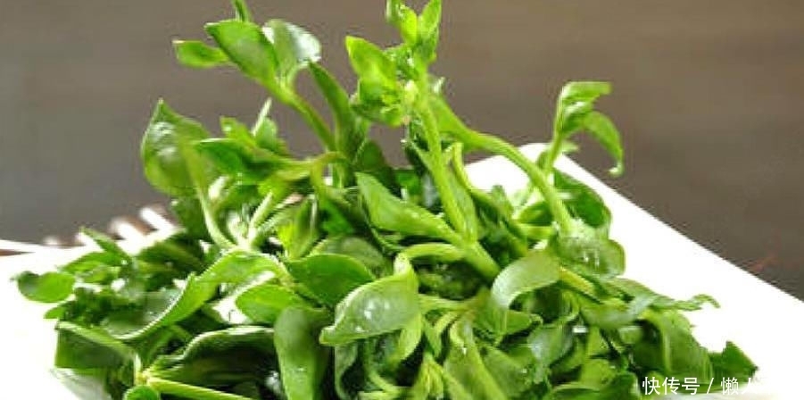  种子@农村的一种作物种植一亩只需5克种子，亩产达5千斤，一斤13元