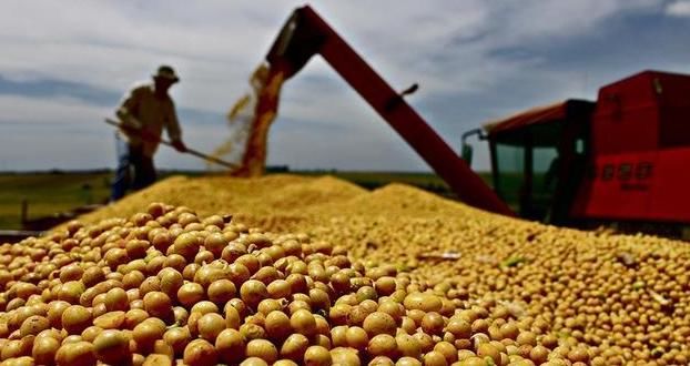 阿根廷突然大幅度降低大豆的出口关税，这到底是为了什么