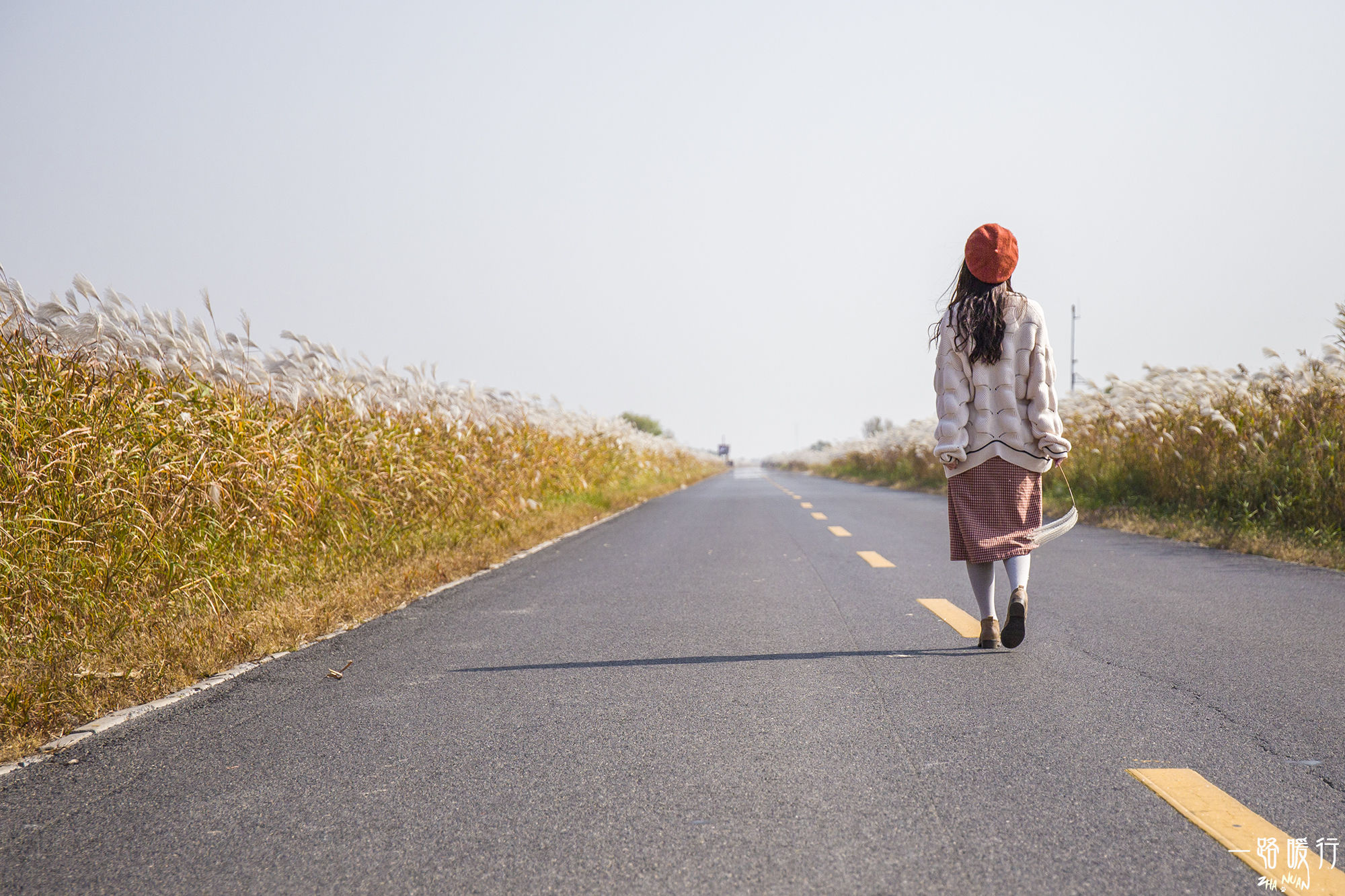 东营丨走过沧海桑田，终是在芦花飞雪的秋日遇见你