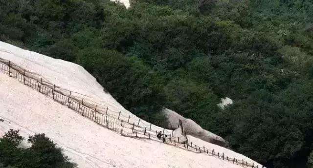 登高揽胜 云海情长