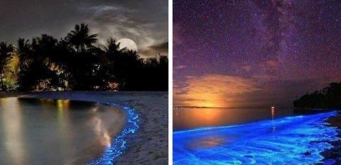 这八张照片非同一般,世界还有许多未知要我们一起探索