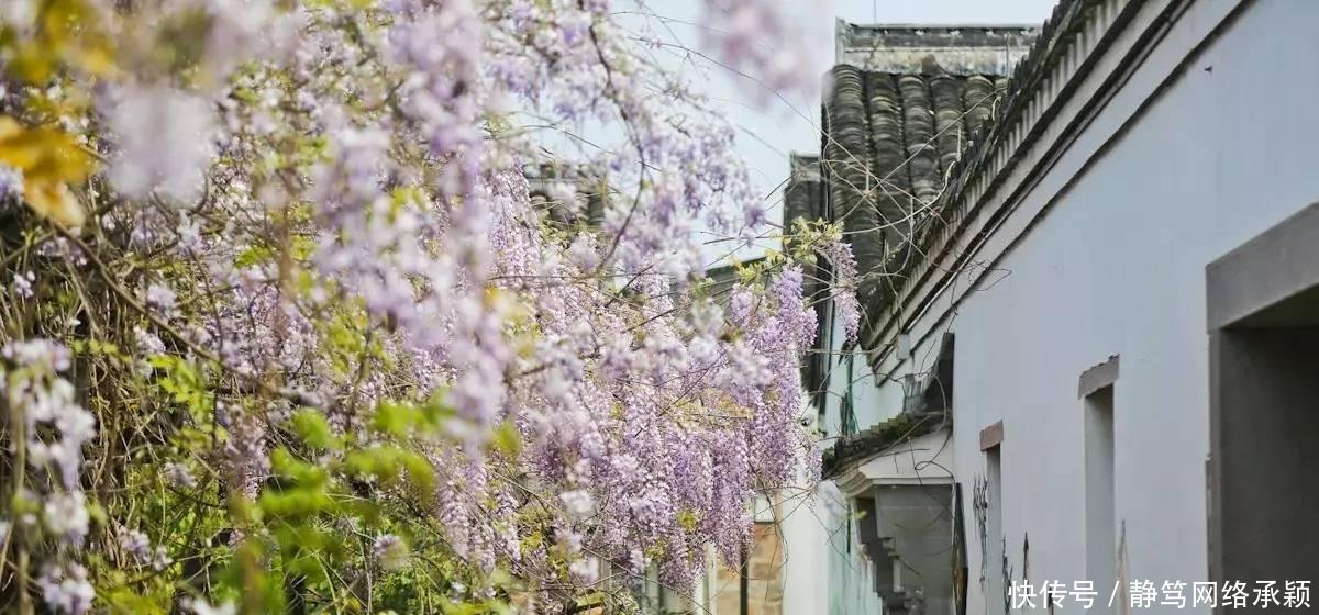 这座低调小城承包了浙江最美的春天, 清明去过两三天乡下生活~