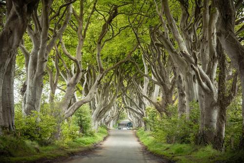 北爱尔兰-大自然的鬼斧神工