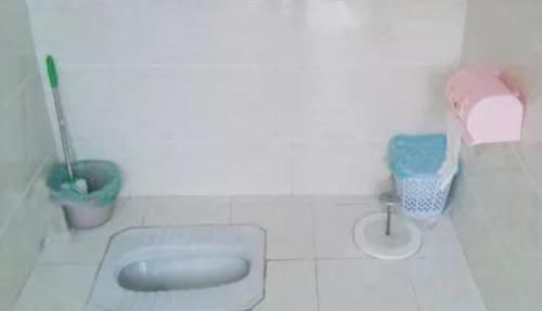  农民都@村子新改造的厕所，专家说不错，却没人用，这是咋回事呢