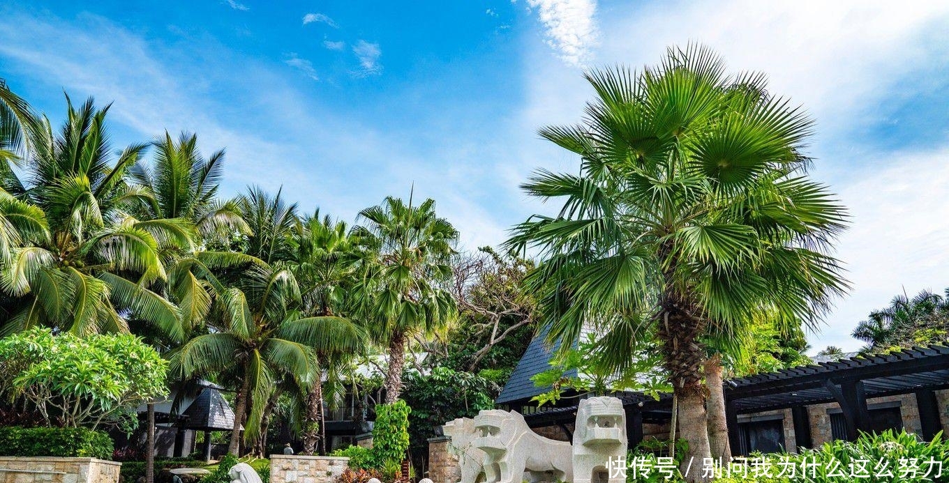 三亚旅行就该泡着,这家酒店有三个泳池,个个都是风景如画