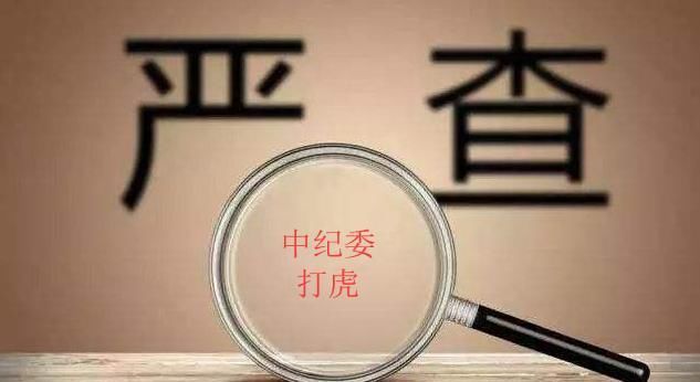  「高调」这名省部级成下半年“打虎”落马第1人，喜高调发表反腐