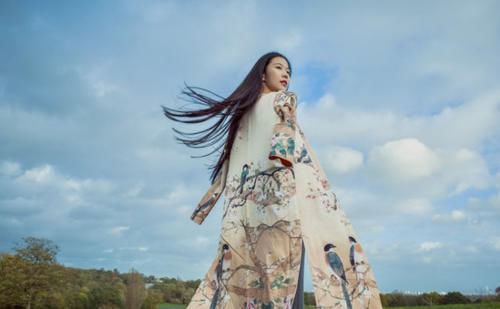  [叶泳湘]太极第一美女叶泳湘：没听说过马保国，也没见过闫芳那样打飞徒弟