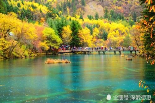 九寨沟重新开放，每天限量5000人，却因一条新规伤了游客的心