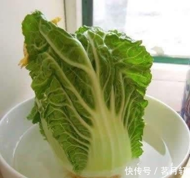 萝卜@不要再买盆栽了,厨房里的白菜萝卜红薯,盆栽起来非常漂亮