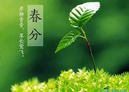  『令七十二候』二十四节气：春分