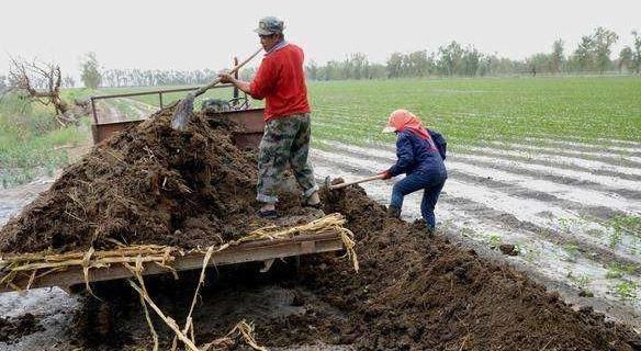  「好处」农家肥料给农作物和土地带来的好处是什么