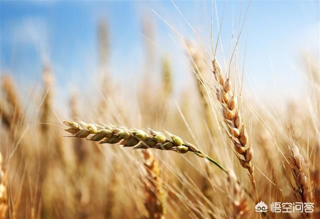 现在在农村还能赚到钱吗？怎么做？