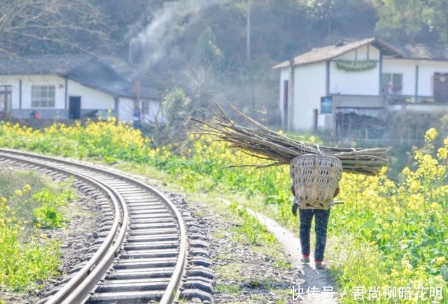  【火车头】为何一到青藏铁路，火车头要换成美国产的？看完涨知