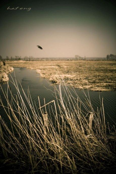 【出行】南宁冷得沉寂，而这里却美的像“仙境”！