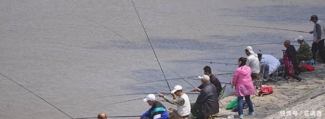  「易懂」廉价又实用的鲤鱼配方，简单易懂制作方便，还能有效避开小杂鱼