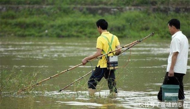  「督查」农村环保政策新变化：一种禁令叫停一刀切，四种行为将