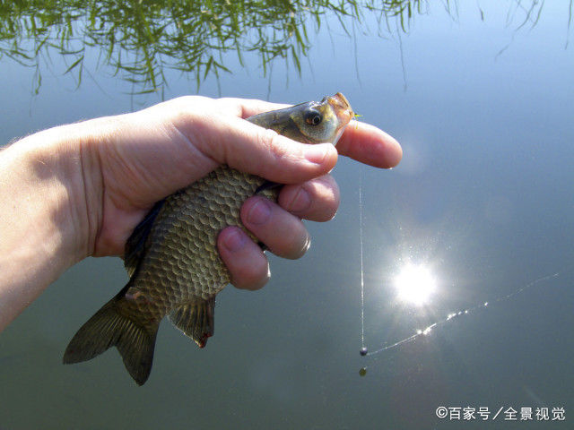  [找到]面对脱钩跑鱼别再迷茫，按照这四个步骤排查，快速找到症结所在