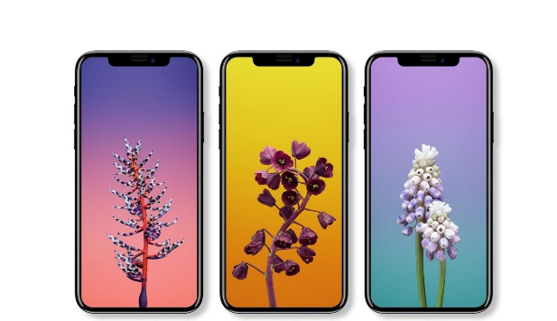 美国公司更怕封杀,苹果和高通严重依赖中国市