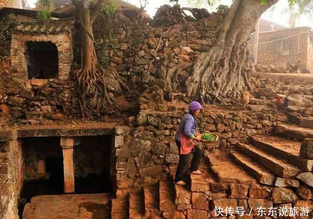 云南深山有座古村落，盖房的石头全是“植物尸体”, 距今3亿年