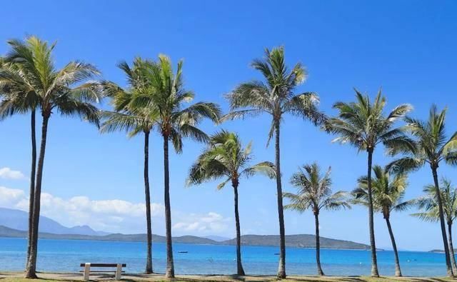 日本年轻人蜜月的首选之地,好多中国人还不知道