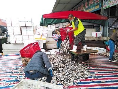  闭市@武汉白沙洲大市场：封城不闭市的菜篮子