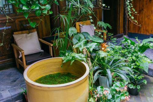 它是中国风水最好的地方，真正的“阆苑仙境”，美到爆却鲜为人知