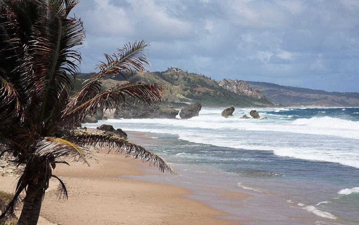 世界唯一黑人发达国家：全国80%黑人，却与韩国一同成发达国家