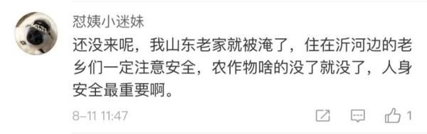 超强台风北上山东辽宁！“利奇马”或遭除名