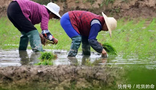 中国8亿农民的现状……心疼