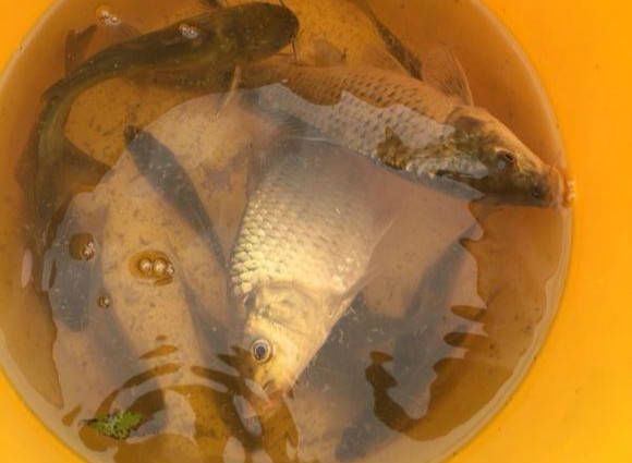  【新手】钓鱼新手三个月来的垂钓历程，总算是有拿得出手的收获了！