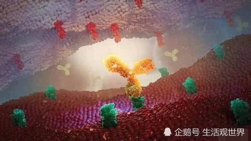 肿瘤治疗的新时代，一种药对付多种肿瘤，有些晚期患者已经被治愈