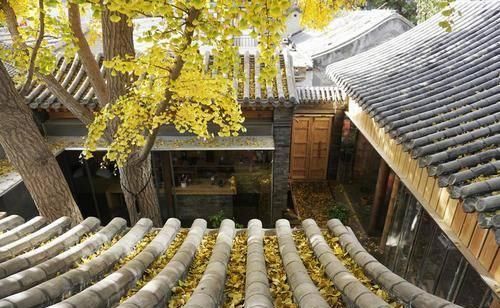 金秋不出门要后悔!北京秋天必打卡之地,美得窒息