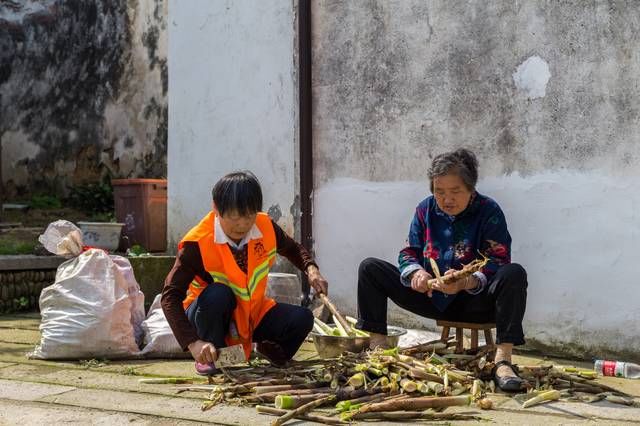 中国最奇特的古镇，从一个家庭发展而来，镇上的人都是亲戚