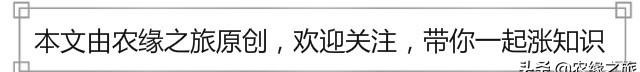 农村的这一不良风气蔓延，比不孝子还让农民寒心，你们村有吗