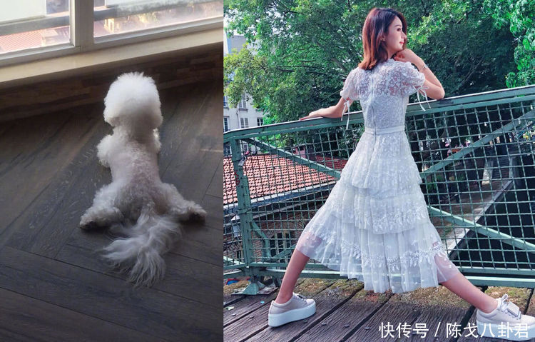 赵丽颖停工休息，却被曝怀孕三个月，颖宝亲自发了15个字回应！