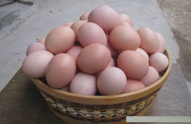 网友公认的4种减肥瘦身食物，经常吃能轻松减掉小腹上的“赘肉”