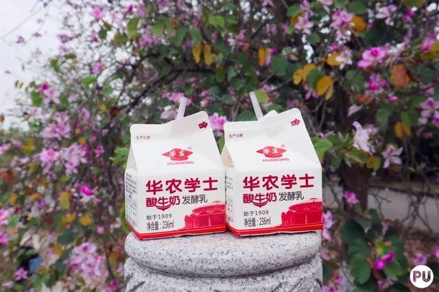 靓！佛山周边1500株樱花已盛开，最美的春天在这里~
