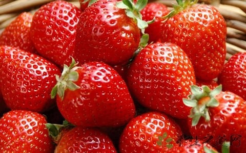 秋季如何保养脸部皮肤