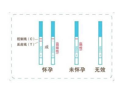  #解胎儿#怀孕后你别急着兴奋，这4件小事儿，还是要踏实做好了