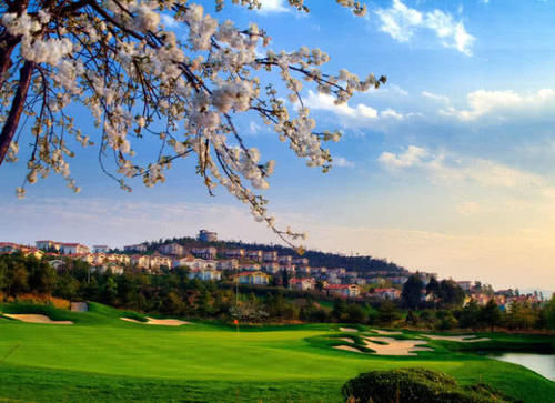  广州：西南三座新一线城市：最强的那座不是成都，两年内可能超越广州