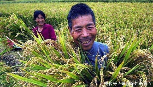  「留意」再过半个月，农村早已被叫停的3件事，又迎来高发期，农